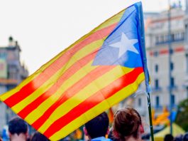 Pound Steady Against Euro as Political Nerves High with Eyes on Brexit Negotiations and Catalan Vote