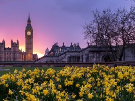 GBP/EUR: Pound Targets â‚¬1.16 On Euro Weakness