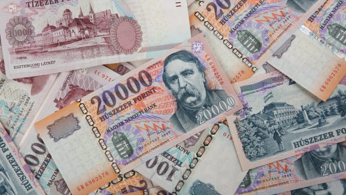 hungarian forint bank notes - HUF